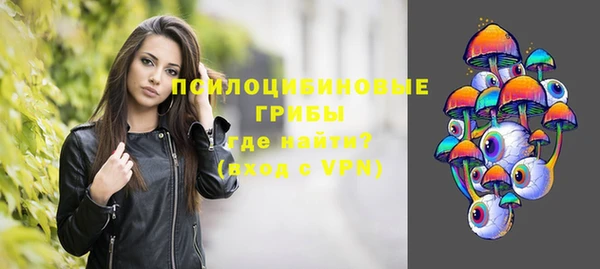 шишки Пестово